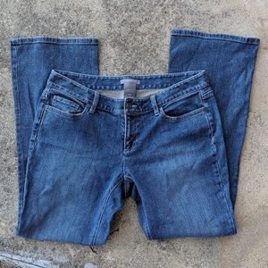 Ann Taylor Jeans 10P